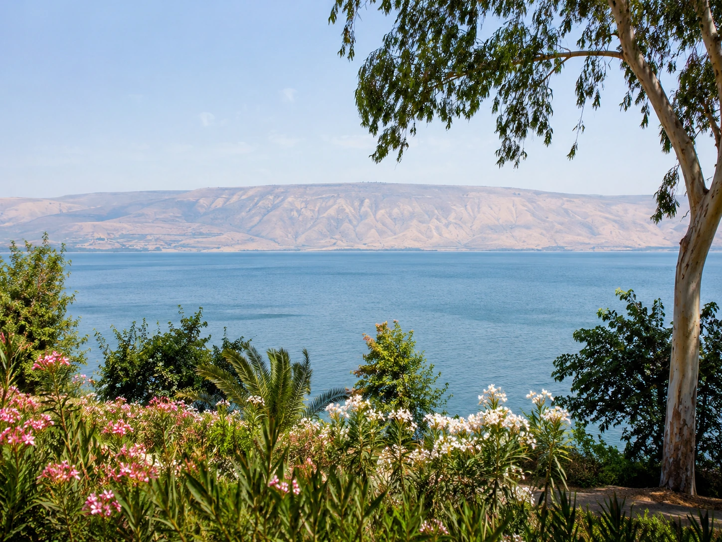 Galilee